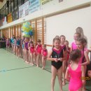 dnio 78
